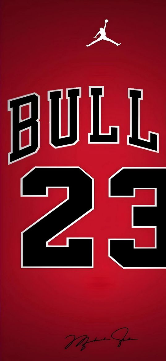 bulls, air jordan, 23, red