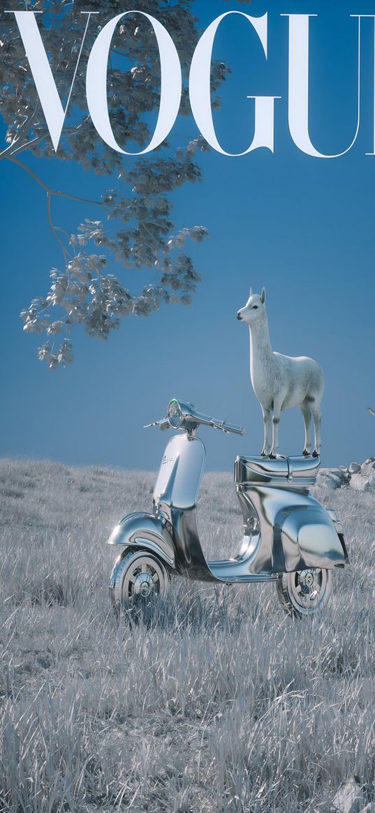 scooter, llama, silver, grass, tree, vogue, magazine, cover