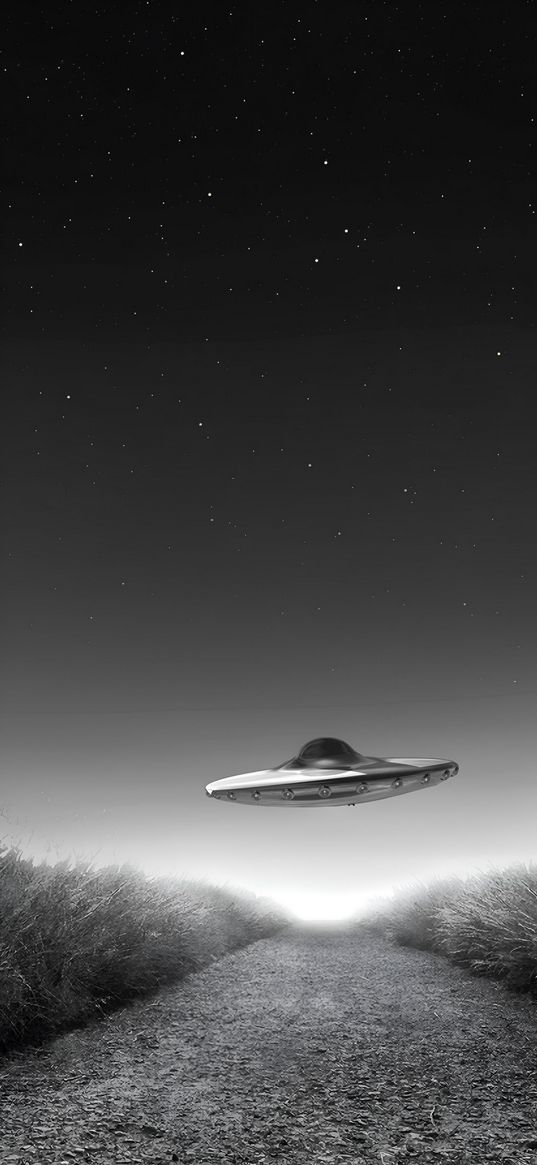 ufo, grey, aliens, black and white