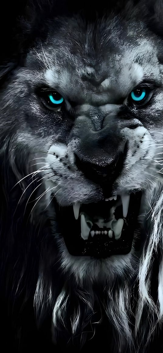 lion, lions, king, grin, anger, eyes