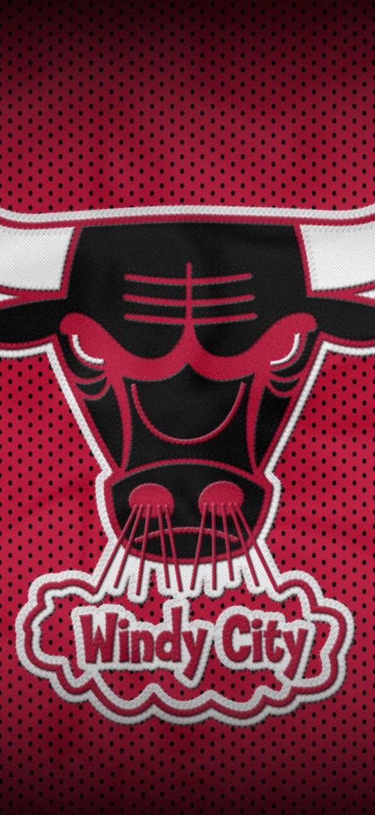 chicago bulls, bull, basketball, club, sport