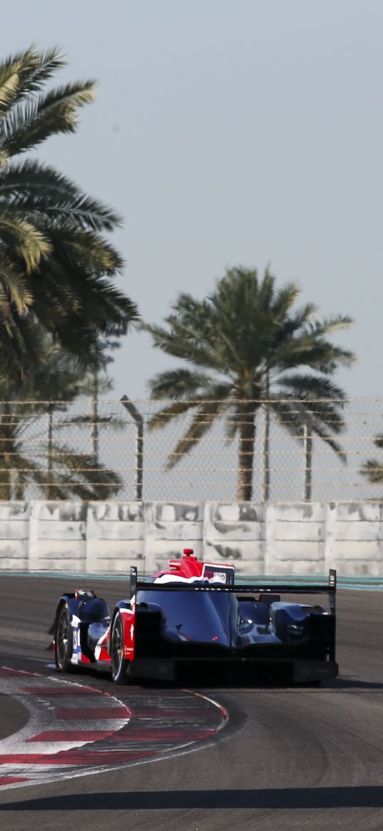 car, bolide, racing, road, speed, palm trees