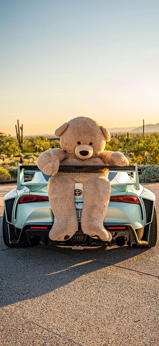 toyota supra, toyota, car, turquoise, bear, toy, desert