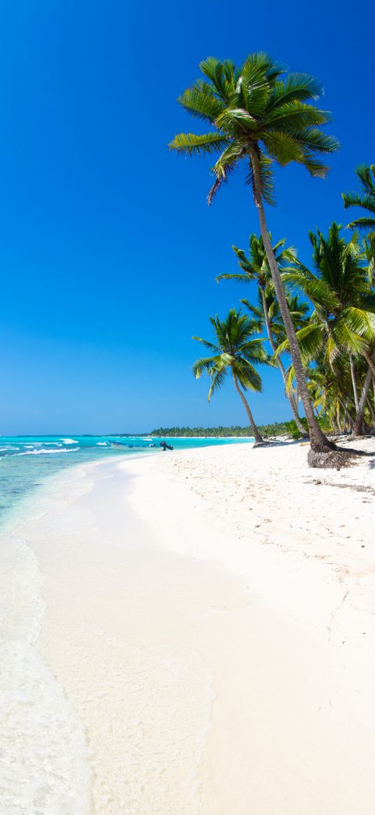 beach, ocean, water, palm trees, sand, blue sky, island