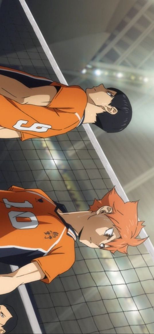 hinata shouyo, haikyuu, anime, volleyball, characters