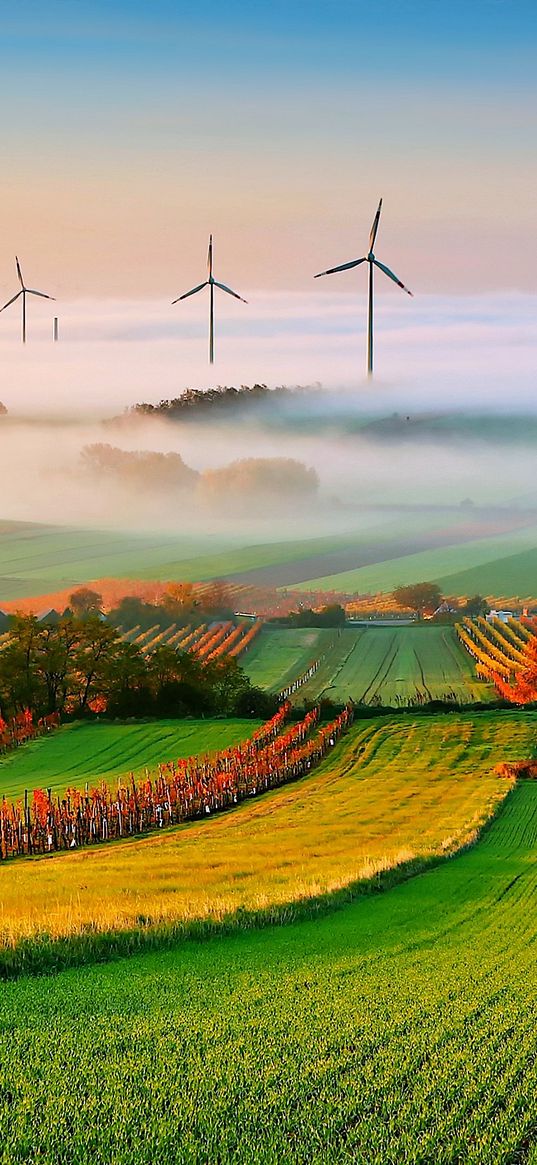 fields, fog, forest, plants, nature, windmills