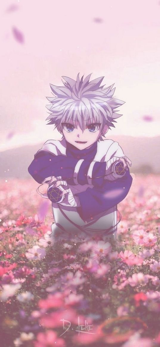 hunter x hunter, killua, field, flowers, anime, art