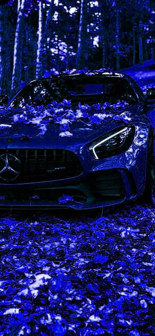 mercedes, mercedes amg gt, auto, blue auto, leaves