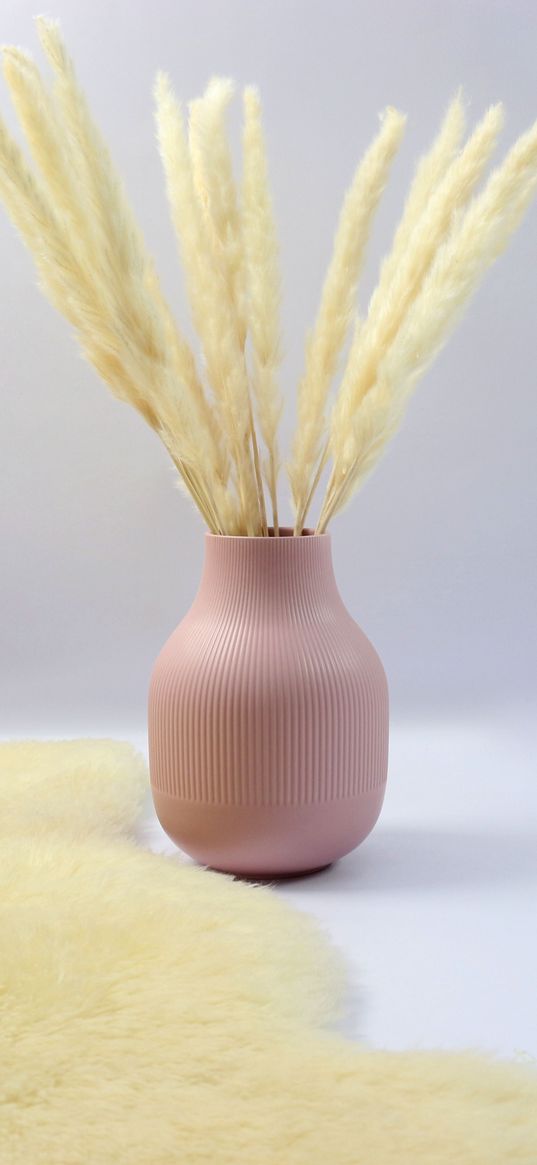 vase, dried flower, fur, aesthetics, light