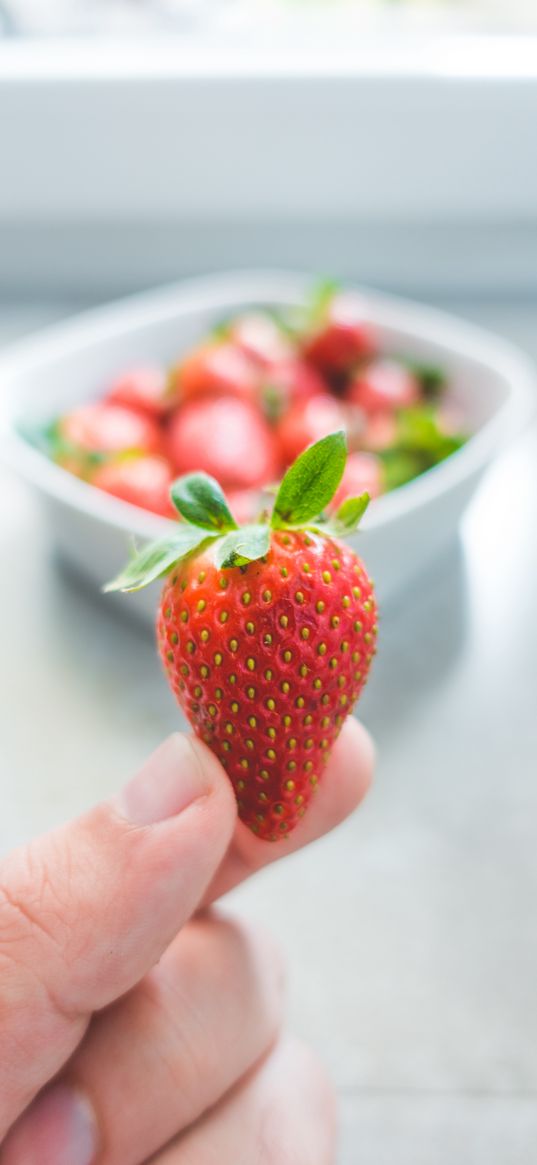 strawberries, leaves, fingers, food