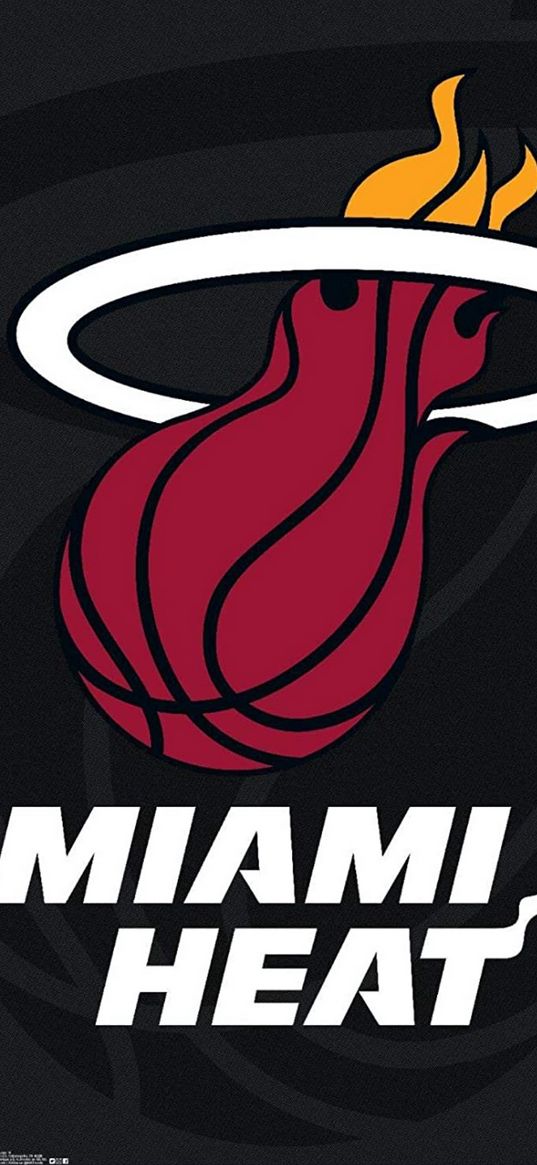 miami heat, basketball club, basketball, ball, ring, fire, red