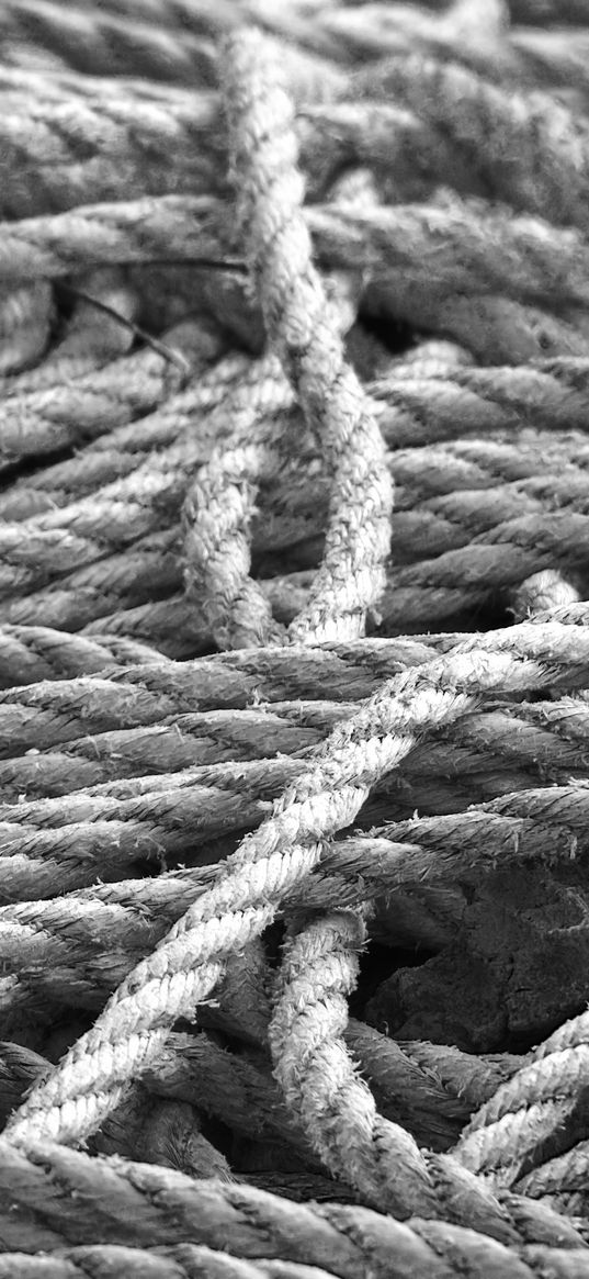 rope, macro, black and white