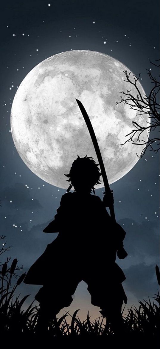 tanjiro kamado, demon slayer, anime, shadow, silhouette, moon