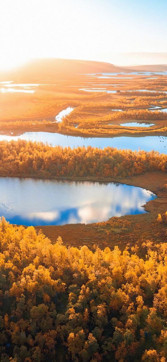 lakes, nature, trees, autumn, view from above