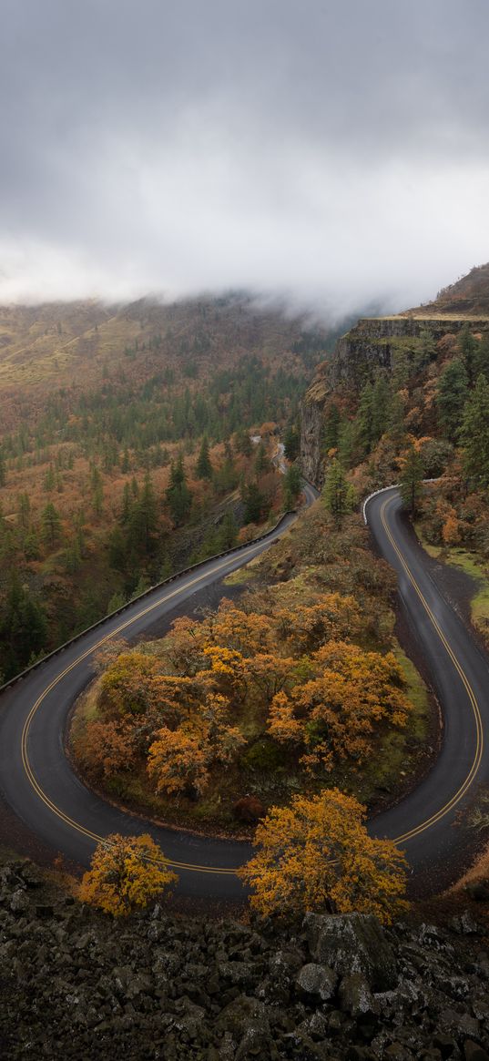 road, trees, curve, autumn, nature