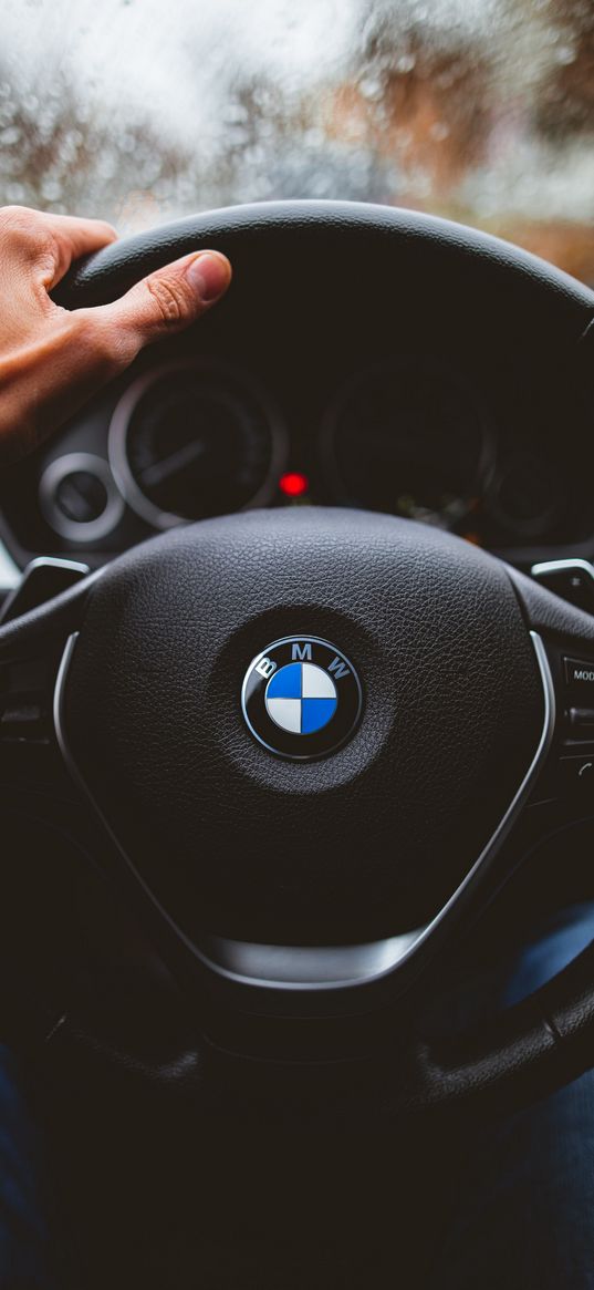 bmw, auto, interior, steering wheel, hand