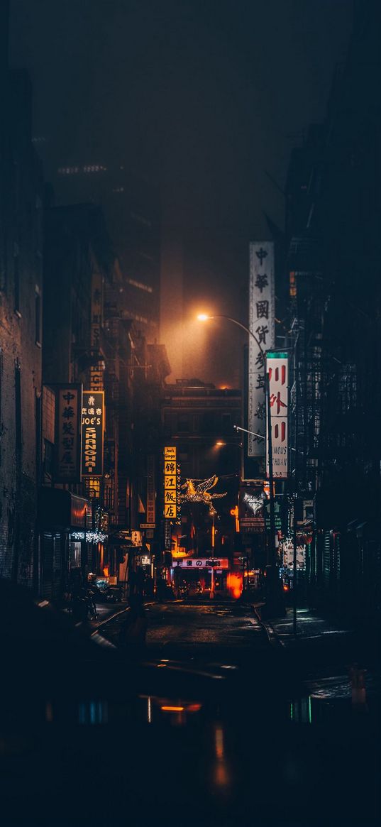 street, lantern, advertisement, hieroglyphs, city, japan, night