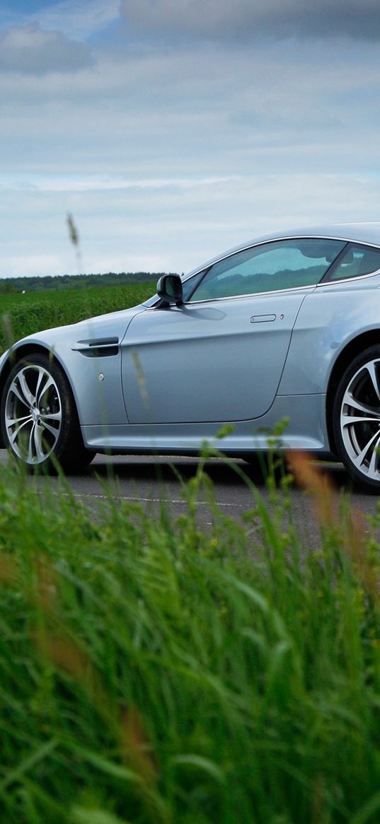 aston martin, v12, zagato, 2009, side view, silver metallic, sport, grass, cars