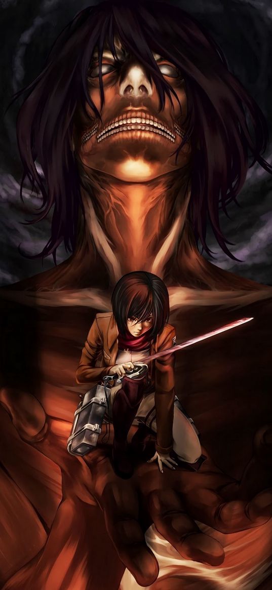 anime, cartoon, attack on titans, mikasa, character