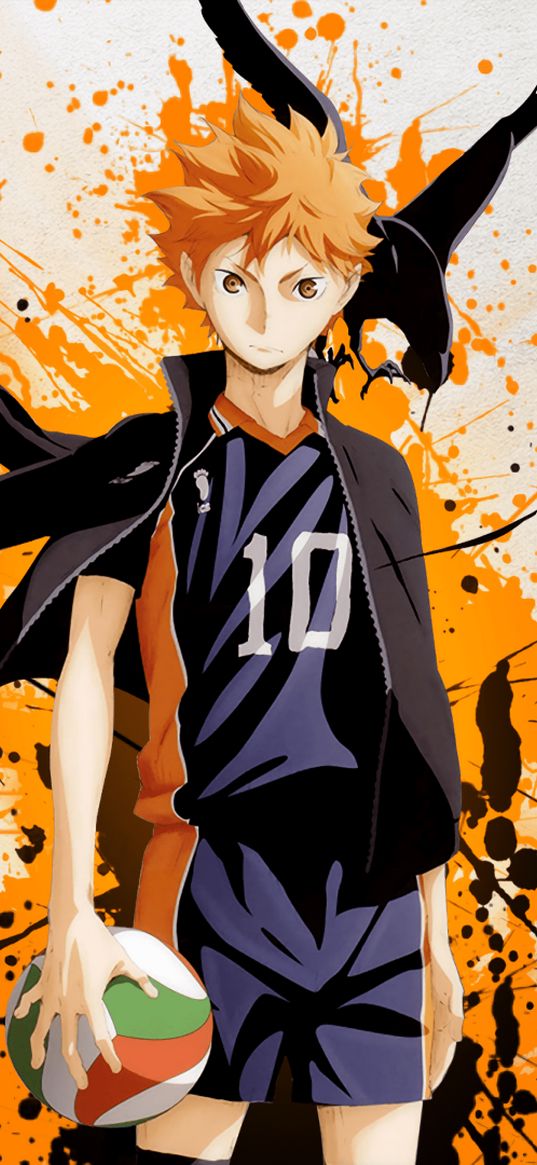 anime, cartoon, guy, haikyuu, volleyball