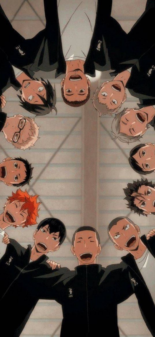 anime, team, guys, haikyuu, volleyball, heroes