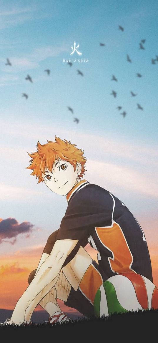 anime, guy, haikyuu, volleyball, hero