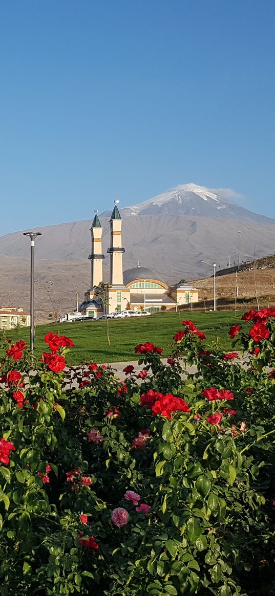 mountains, flower, snow, greenery, mosque, agri mountain, turkey