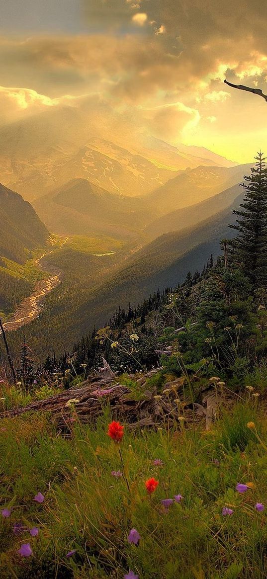 mountains, river, decline, evening, flowers, multi-colored