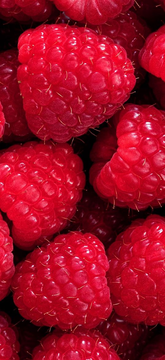 raspberries, berries, red, background