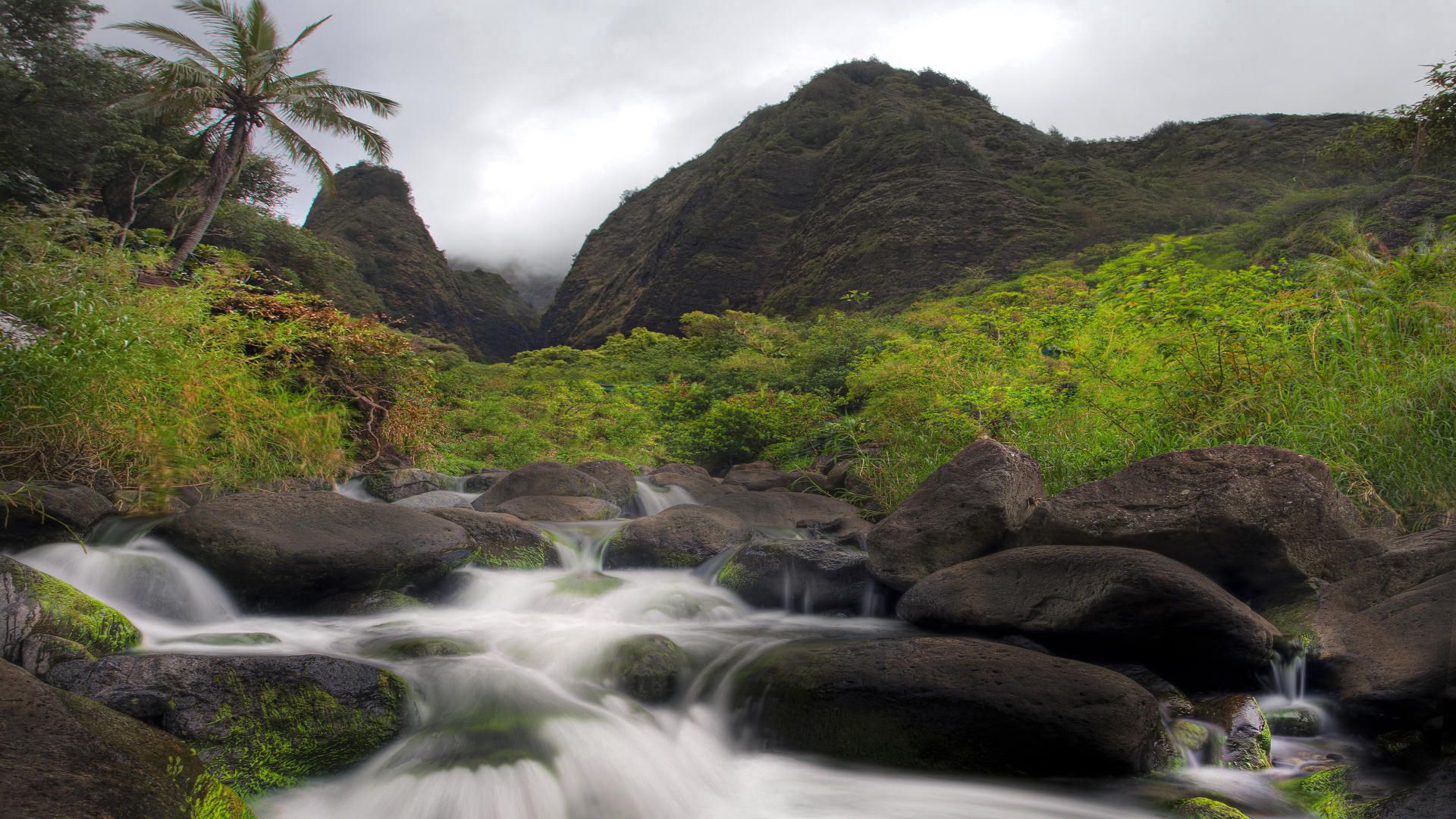 river, stones, current, mountains, palm tree