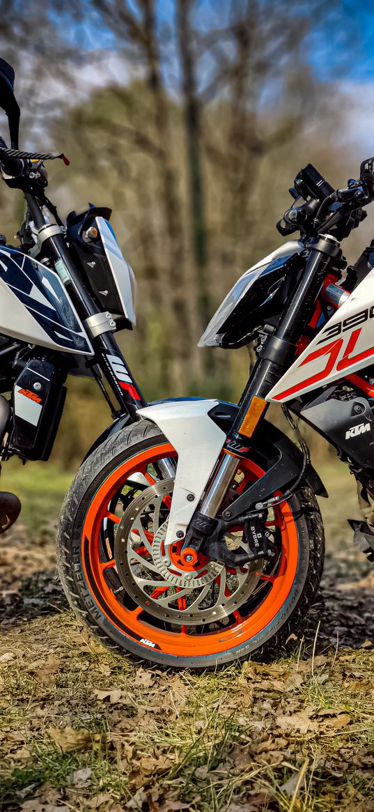 motorcycles, ktm, duke, 390, nature