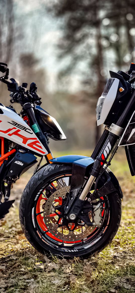 motorcycles, bike, ktm, duke, 390, nature