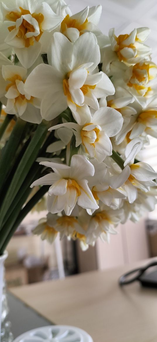 narcissus, flowers, bouquet, vase