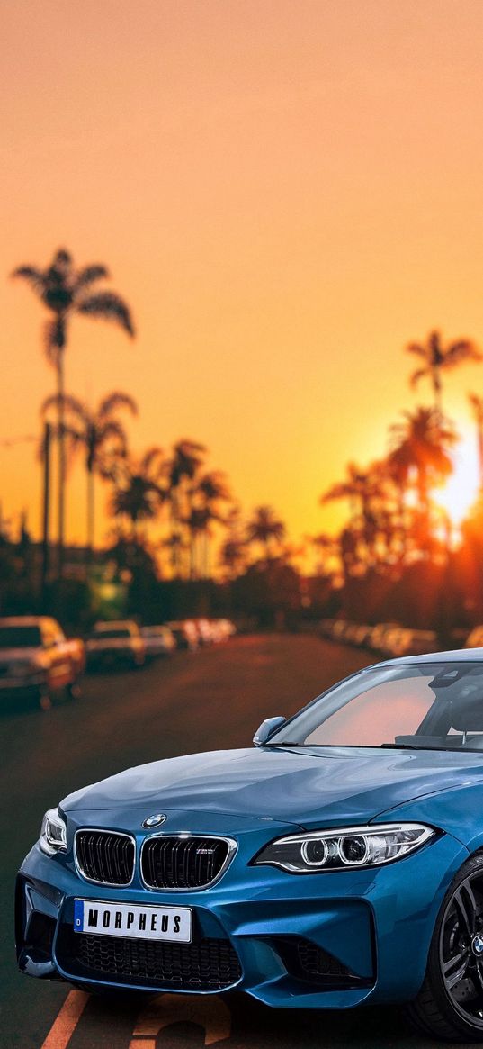 bmw m2, bmw, car, blue, road, palm trees, sunset