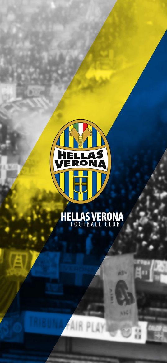 hellas verona, logo, football club, italy