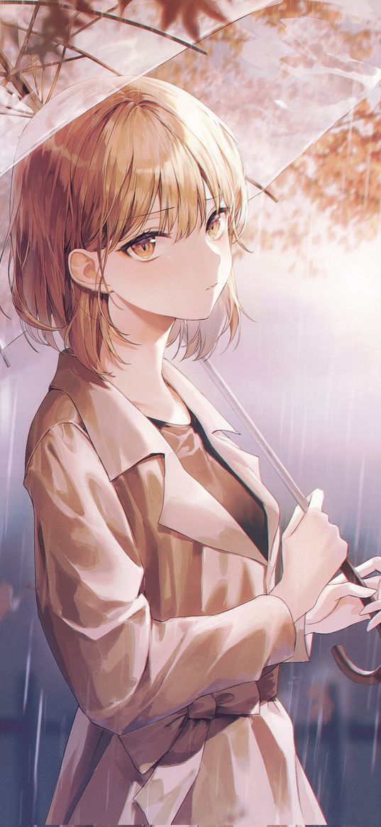 anime, girl, rain, umbrella, raincoat