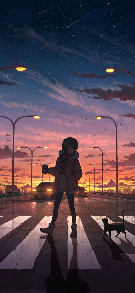 anime, girl, cat, crosswalk, road