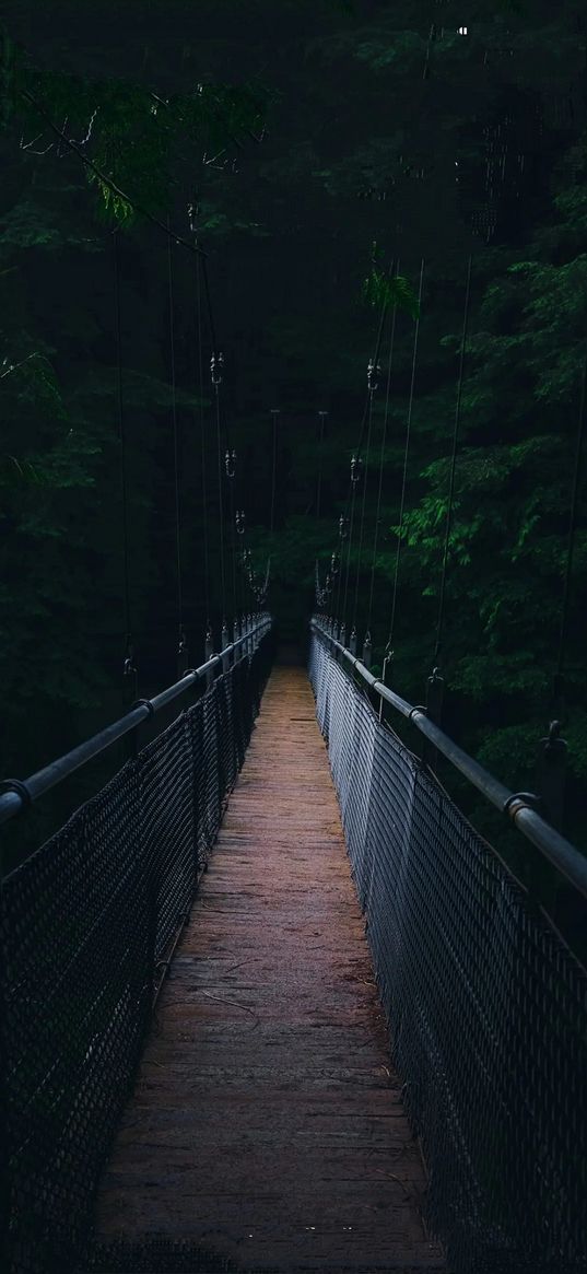 forest, bridge, day, dark