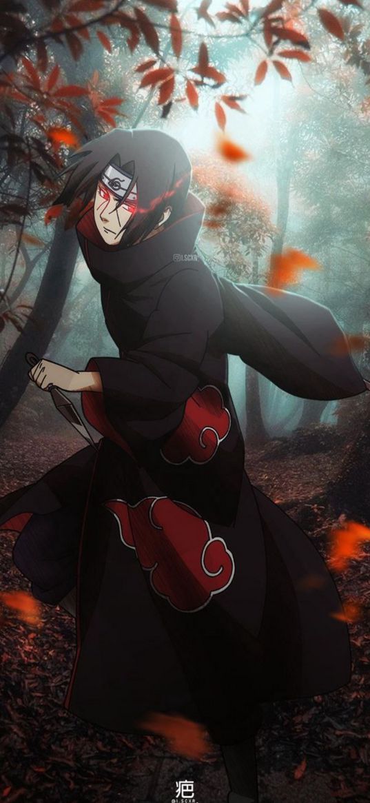 itachi uchiha, naruto, sharingan, anime, leaves, forest, art