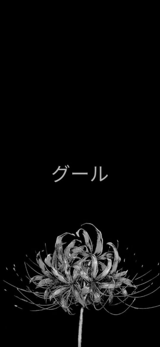 flower, black background, inscription, ghoul, art