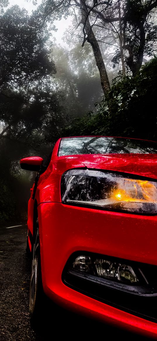 car, cloud, trees, red car