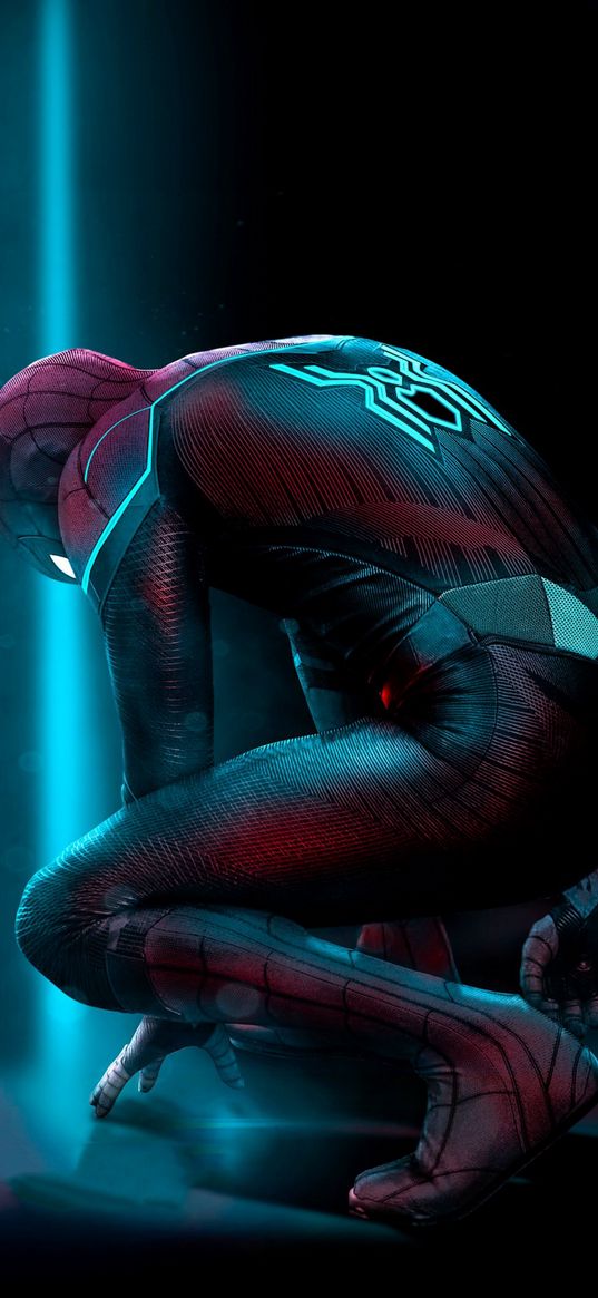 spiderman, spider-man, miles morales, superhero, marvel, back view