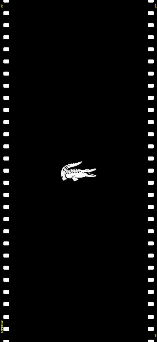 lacoste, logo, black, white, crocodile