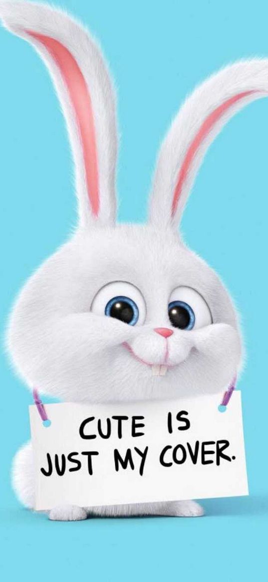 secret life of pets, cartoon, snowball, rabbit, character