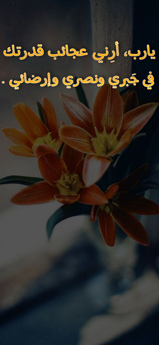 prayer, inscription, flowers