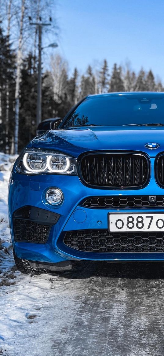 bmw, bmw x6, auto, blue auto, rear lights, snow, ice, forest