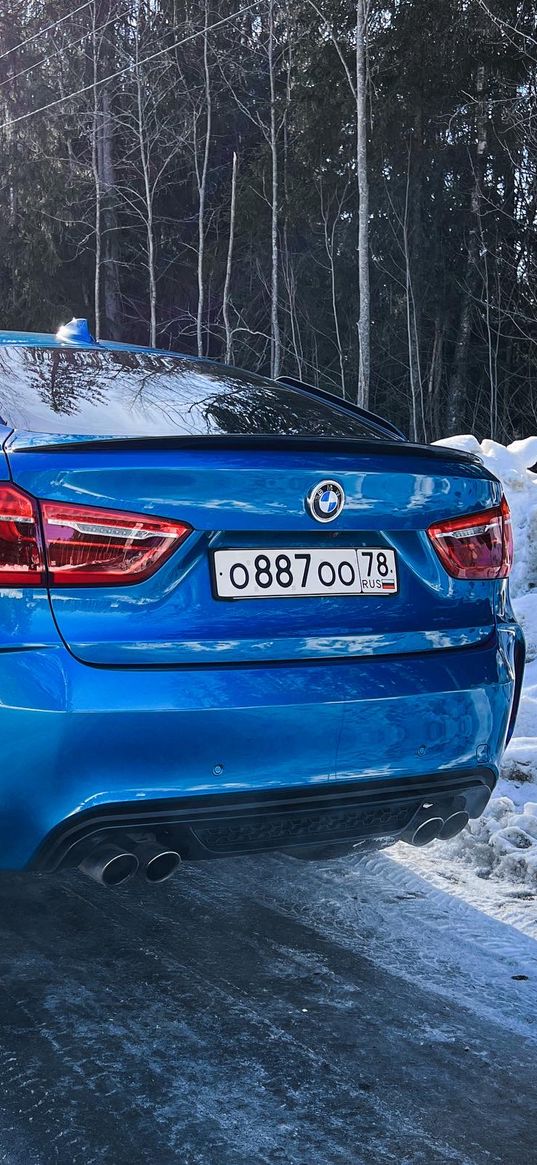 bmw, bmw x6, auto, blue auto, snow, ice, forest