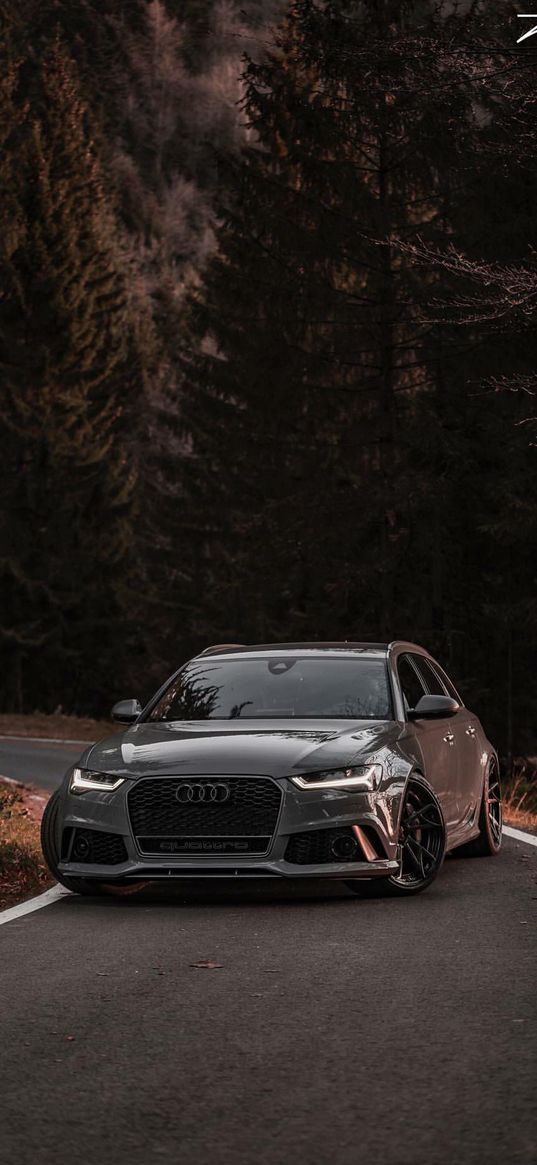 audi, audi rs6, auto, gray auto, road, forest