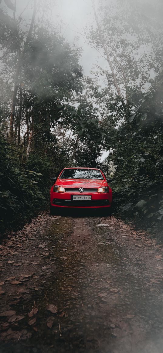 volkswagen, polo, car, forest, fog