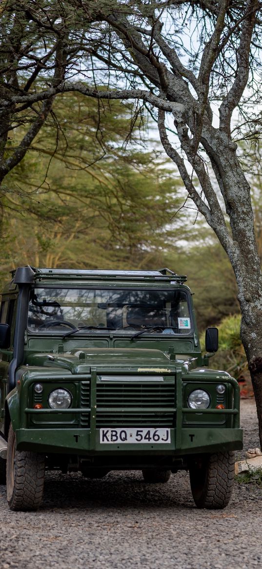 land rover defender, land rover, car, safari, green